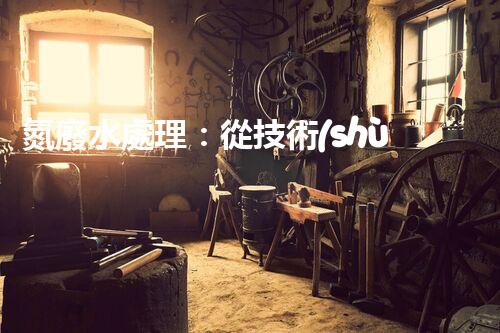 氮廢水處理：從技術(shù)創(chuàng)新到生態(tài)平衡？